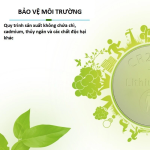 Vỉ 5 viên pin CR2032 Beston Pin cúc áo 3V dùng cho điều khiển xe máy ,điều khiển quạt, cân điện tử